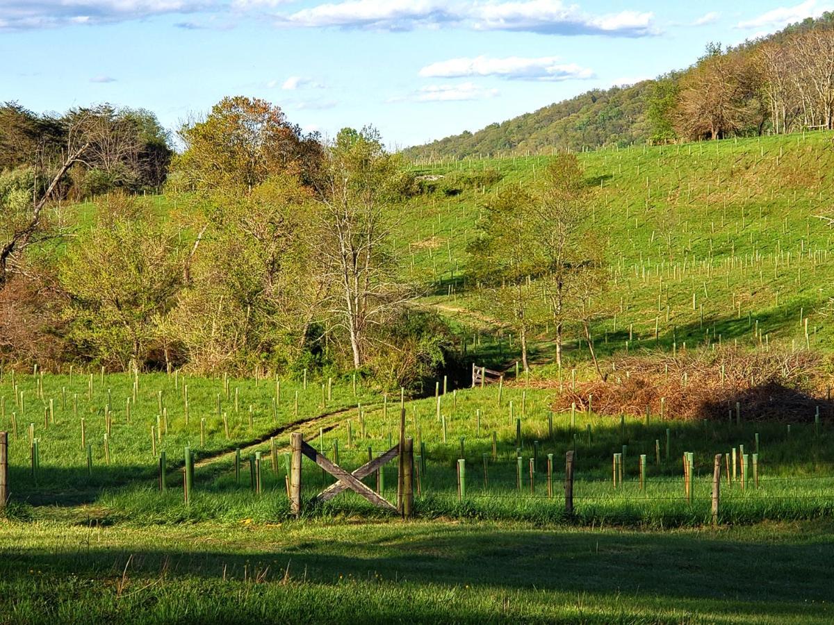 Walnut Run Farm Villa Woodville Exteriör bild