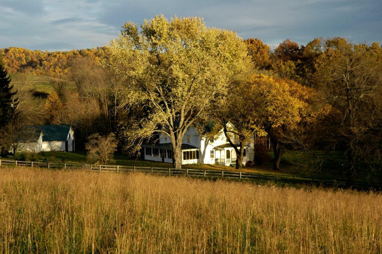 Walnut Run Farm Villa Woodville Exteriör bild